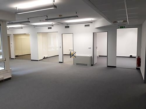 Gewerbefläche zur Miete, 391 m² (5 von 6)