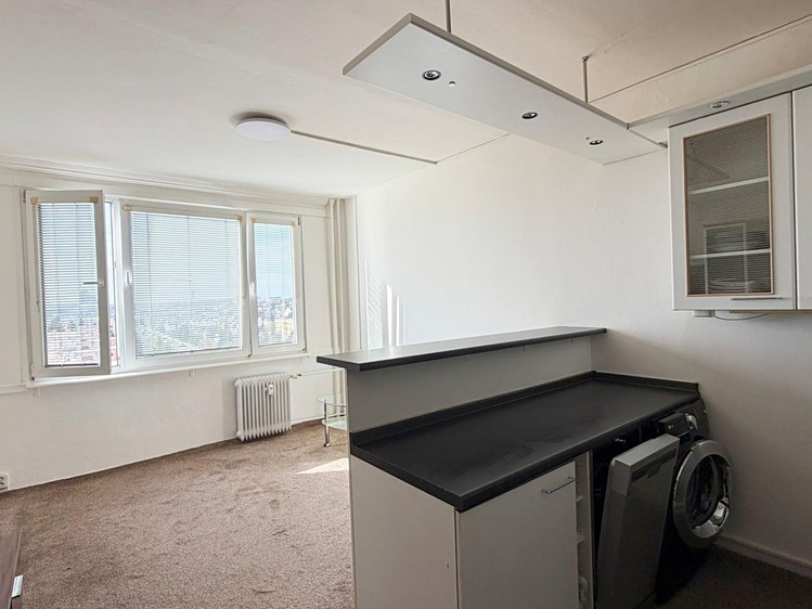 Wohnung 1+kk zur Miete, 24 m² (1 von 16)