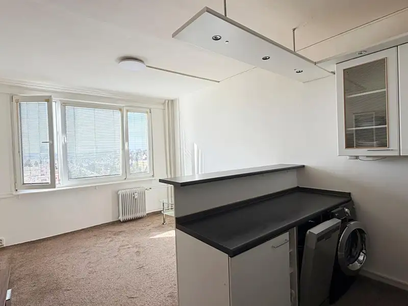 Pronájem bytu 1+kk 24 m², Praha – náhled fotky 1