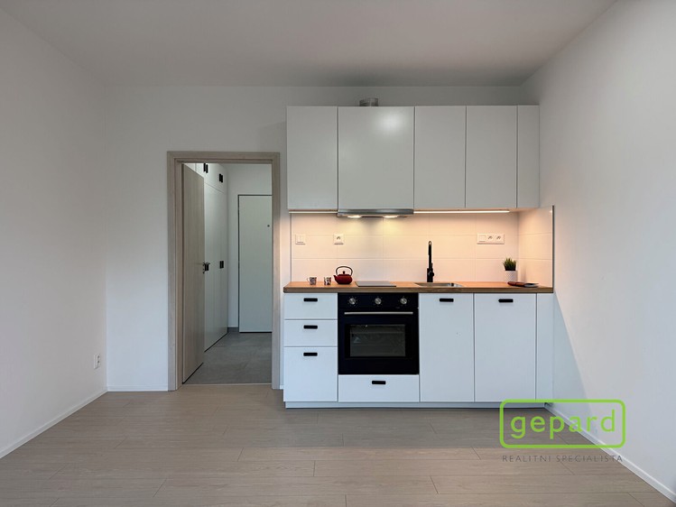 Квартира 1+kk в оренду, 25 м² (11 з 19)