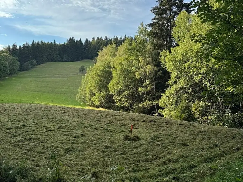 Prodej pozemku 1194 m², Hutisko-Solanec – náhled fotky 3