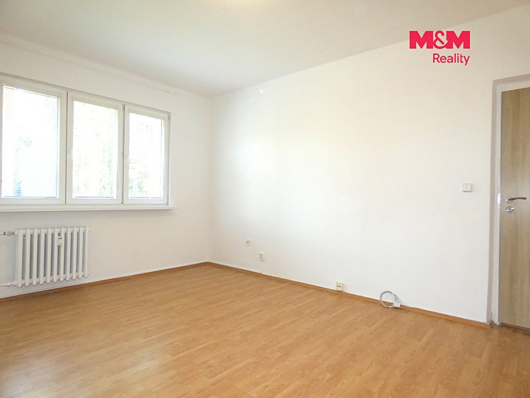 Pronájem bytu 1+1, 38 m² (13 z 21)