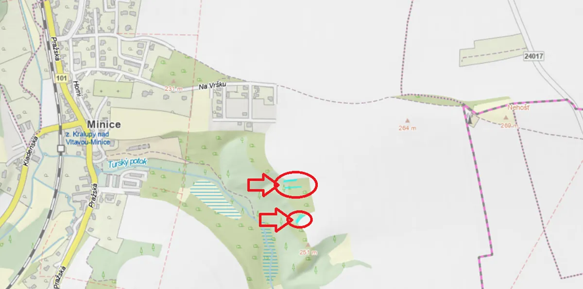 Prodej lesa 559 m²