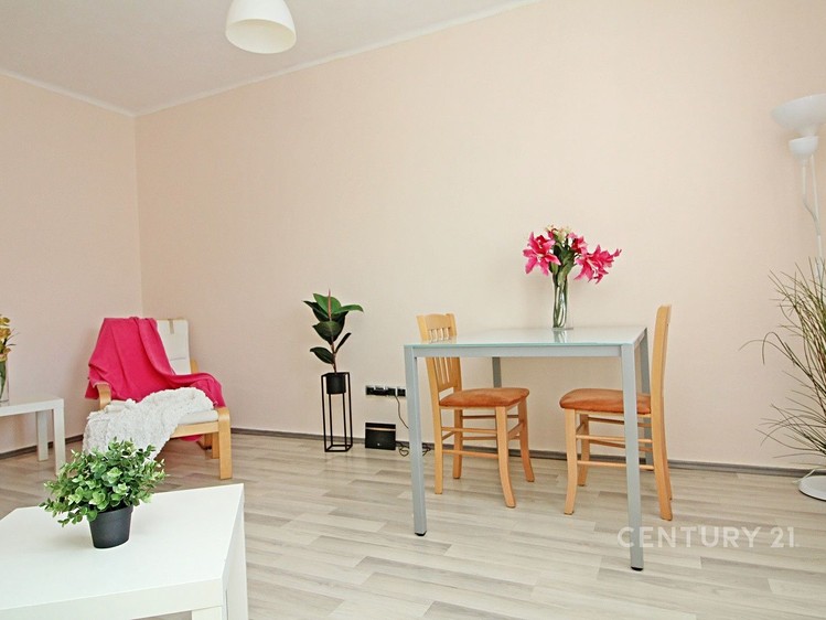 Pronájem bytu 2+1, 52 m² (18 z 29)