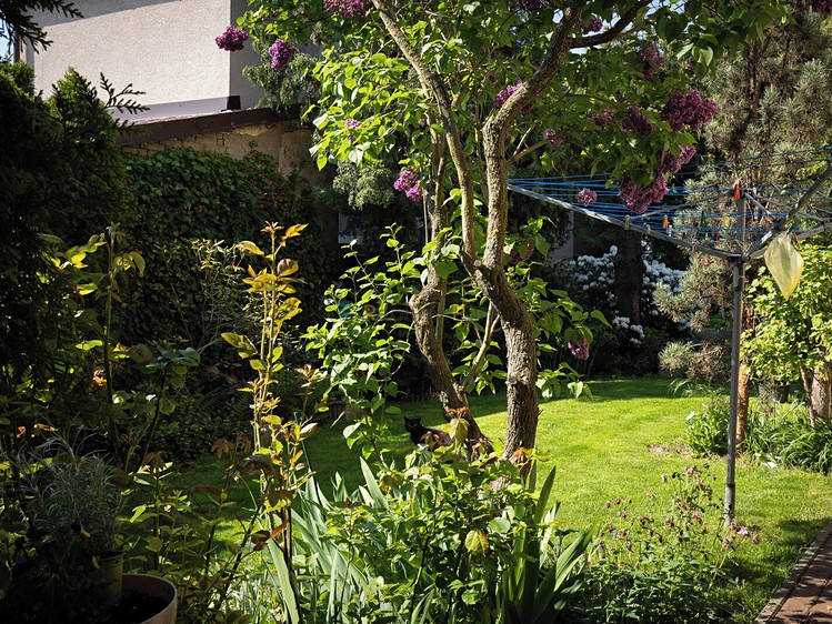 Haus zum Kauf, 294 m² (60 von 66)