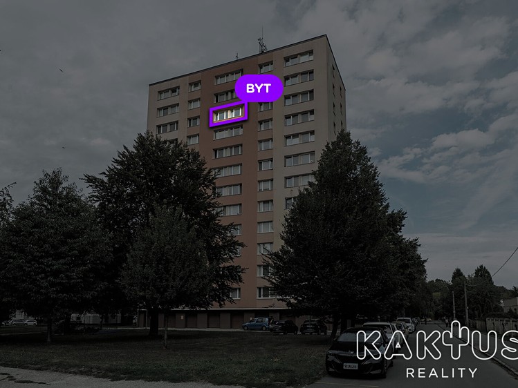 Prodej bytu 1+1, 38 m² (3 z 14)