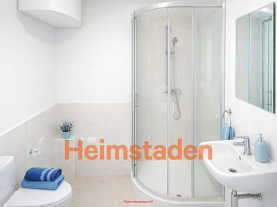 Pronájem bytu 1+1, 35 m² (3 z 7)