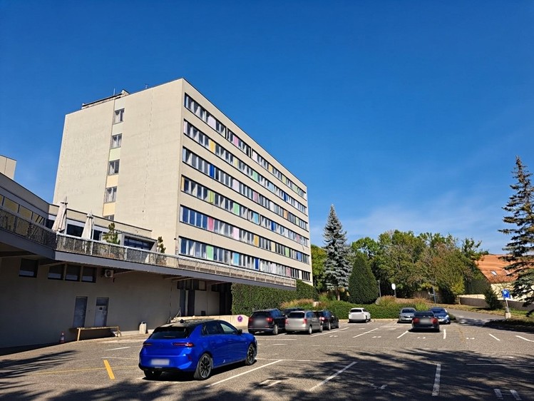 Pronájem komerčního prostoru, 321 m² (1 z 11)