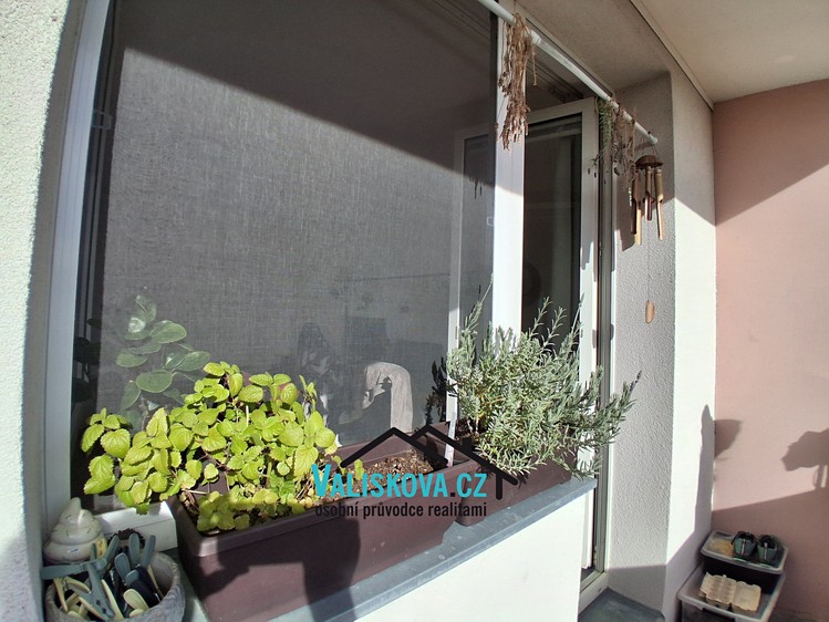Prodej bytu 1+1, 34 m² (2 z 16)