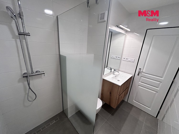 Pronájem bytu 2+1, 44 m² (21 z 30)