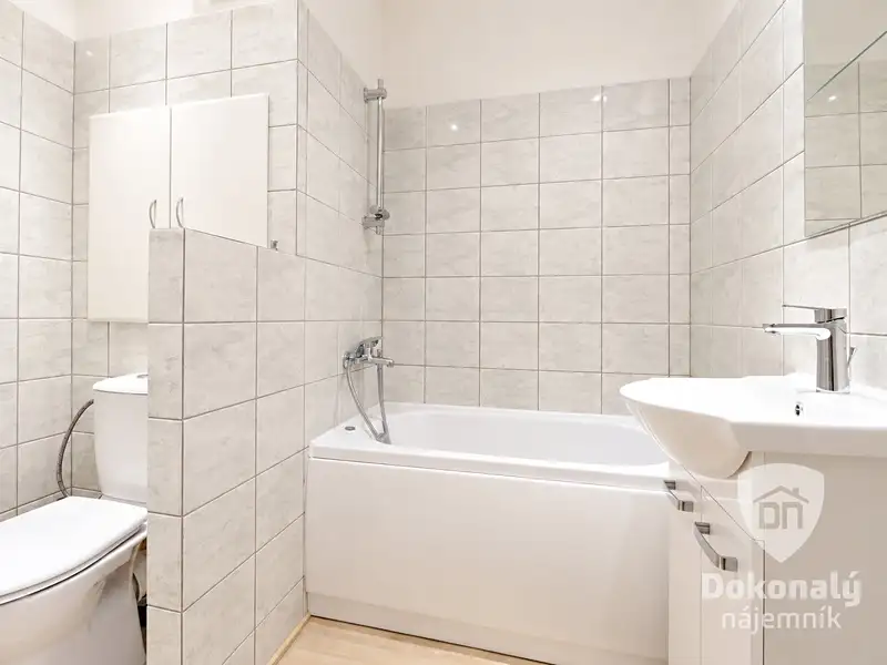 Pronájem bytu 1+1 30 m², Praha – náhled fotky 3