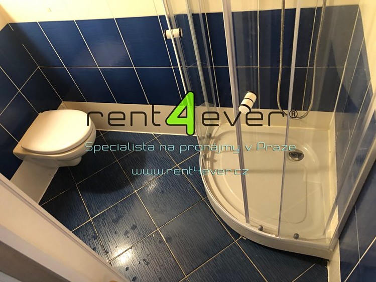 Pronájem bytu 1+kk, 30 m² (2 z 11)