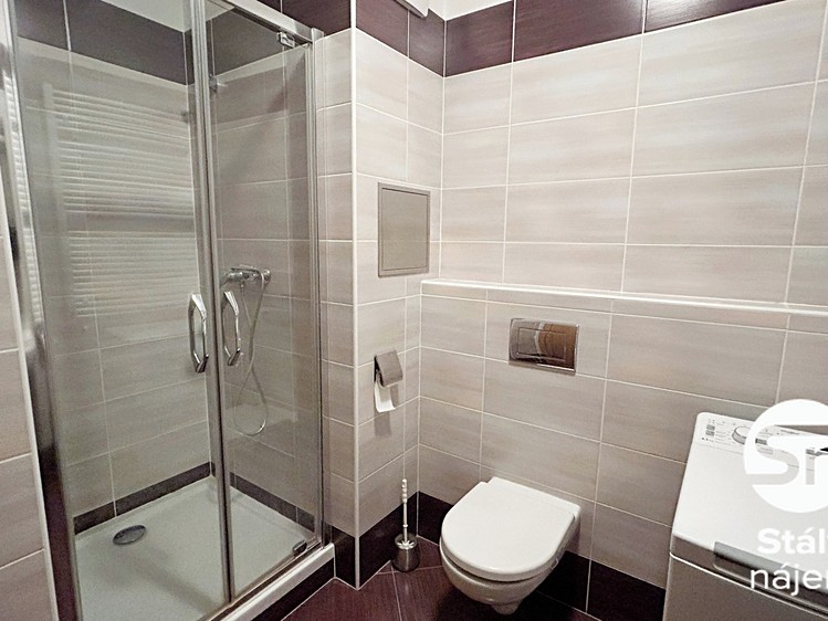 Pronájem bytu 1+kk, 31 m² (4 z 9)