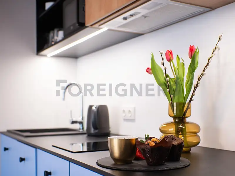 Pronájem bytu 1+kk 29 m², Olomouc – náhled fotky 3