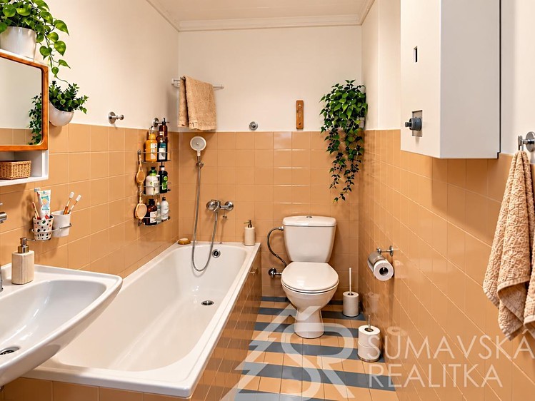 Prodej domu, 60 m² (10 z 23)