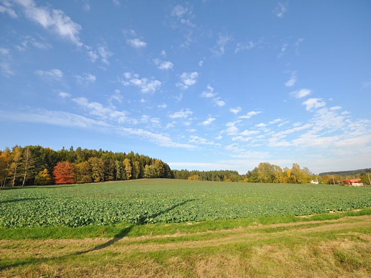 Prodej domu, 250 m² (9 z 11)