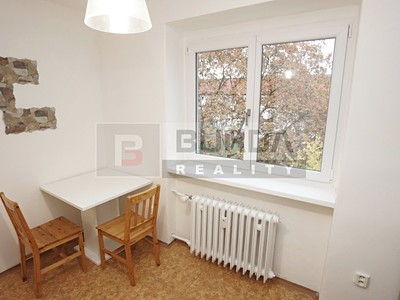 Pronájem bytu 1+1, 30 m² (3 z 21)
