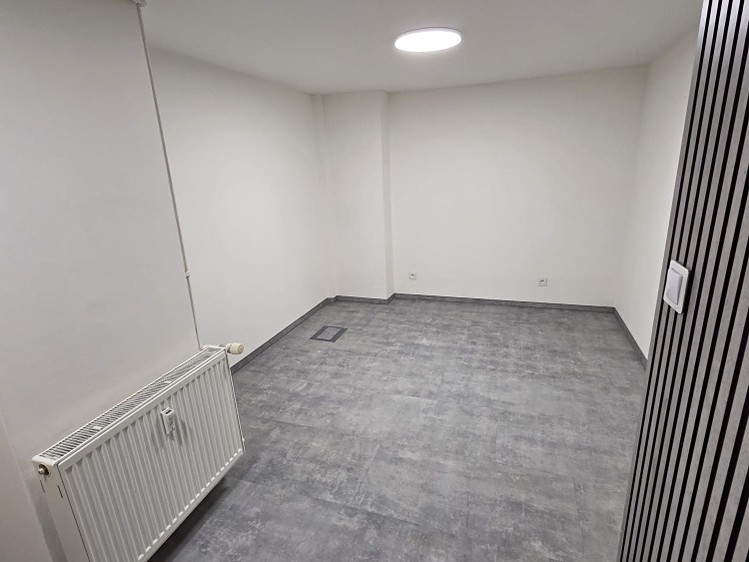 Pronájem komerčního prostoru, 56 m² (6 z 7)