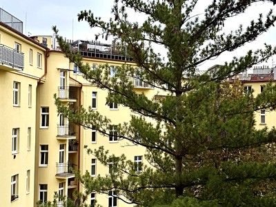 Pronájem bytu 2+1, 52 m² (3 z 11)
