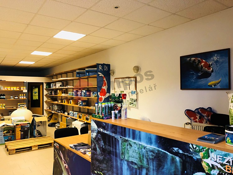 Pronájem komerčního prostoru, 79 m² (1 z 8)