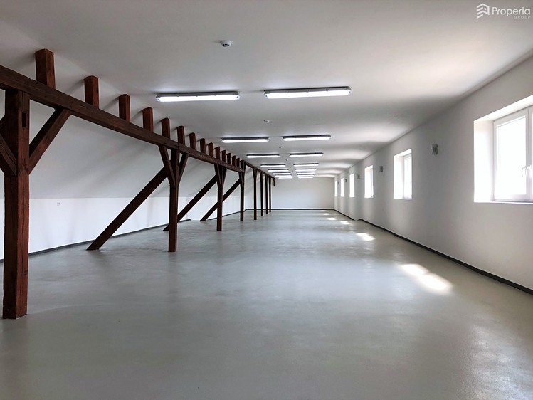Pronájem komerčního prostoru, 300 m² (1 z 10)