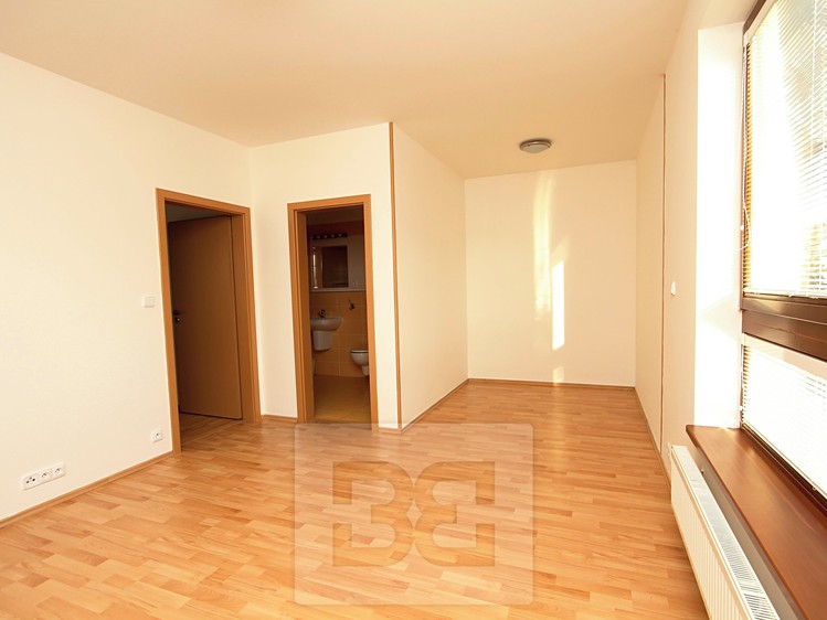 The 2+kk flat for sale, 67 m² (9 of 20)