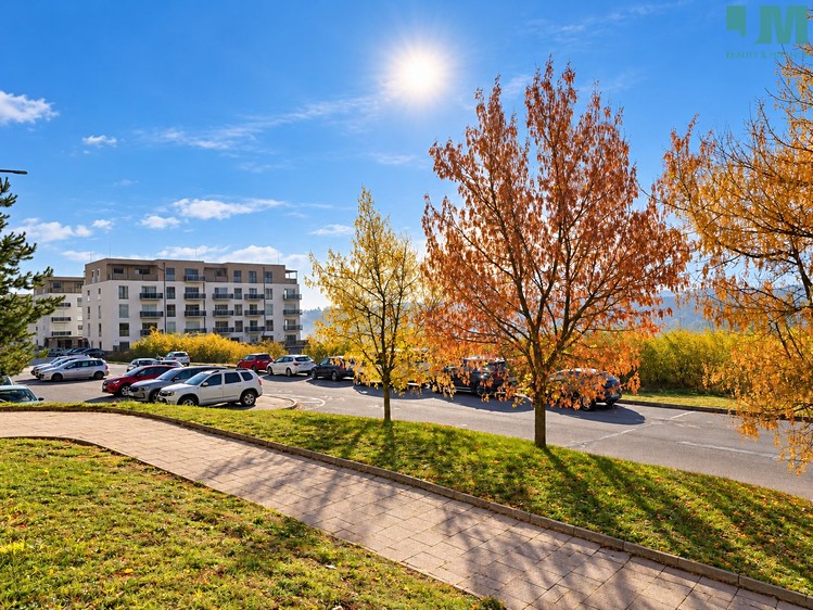 Pronájem bytu 2+1, 52 m² (1 z 13)