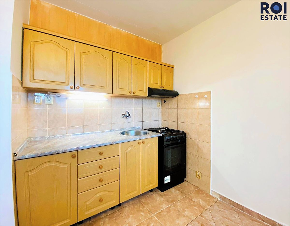 Pronájem bytu 1+1 45 m²