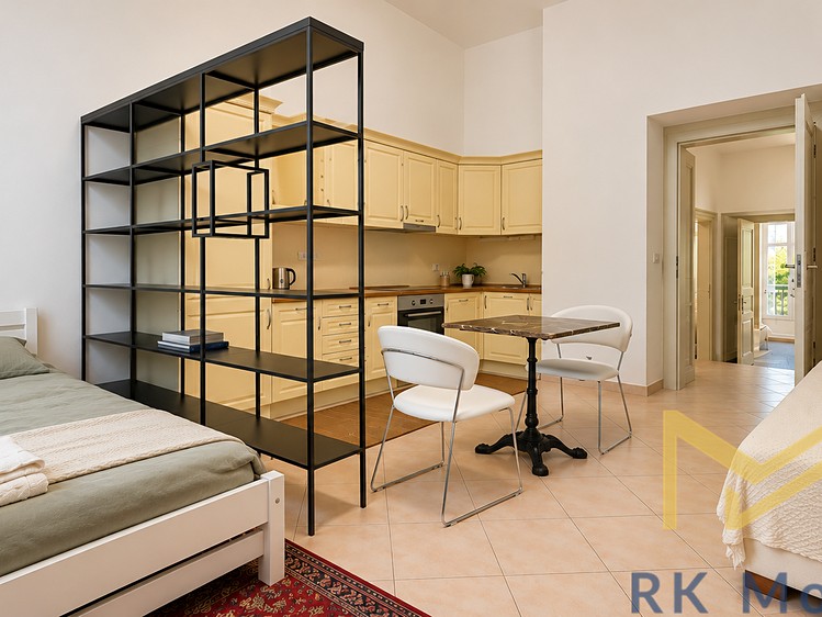 Pronájem bytu 1+kk, 41 m² (2 z 8)