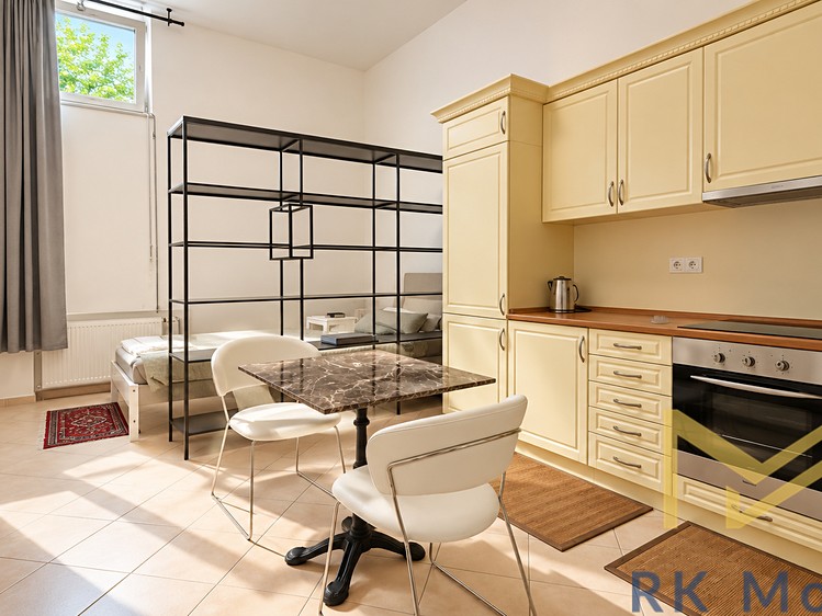 Pronájem bytu 1+kk, 41 m² (1 z 8)