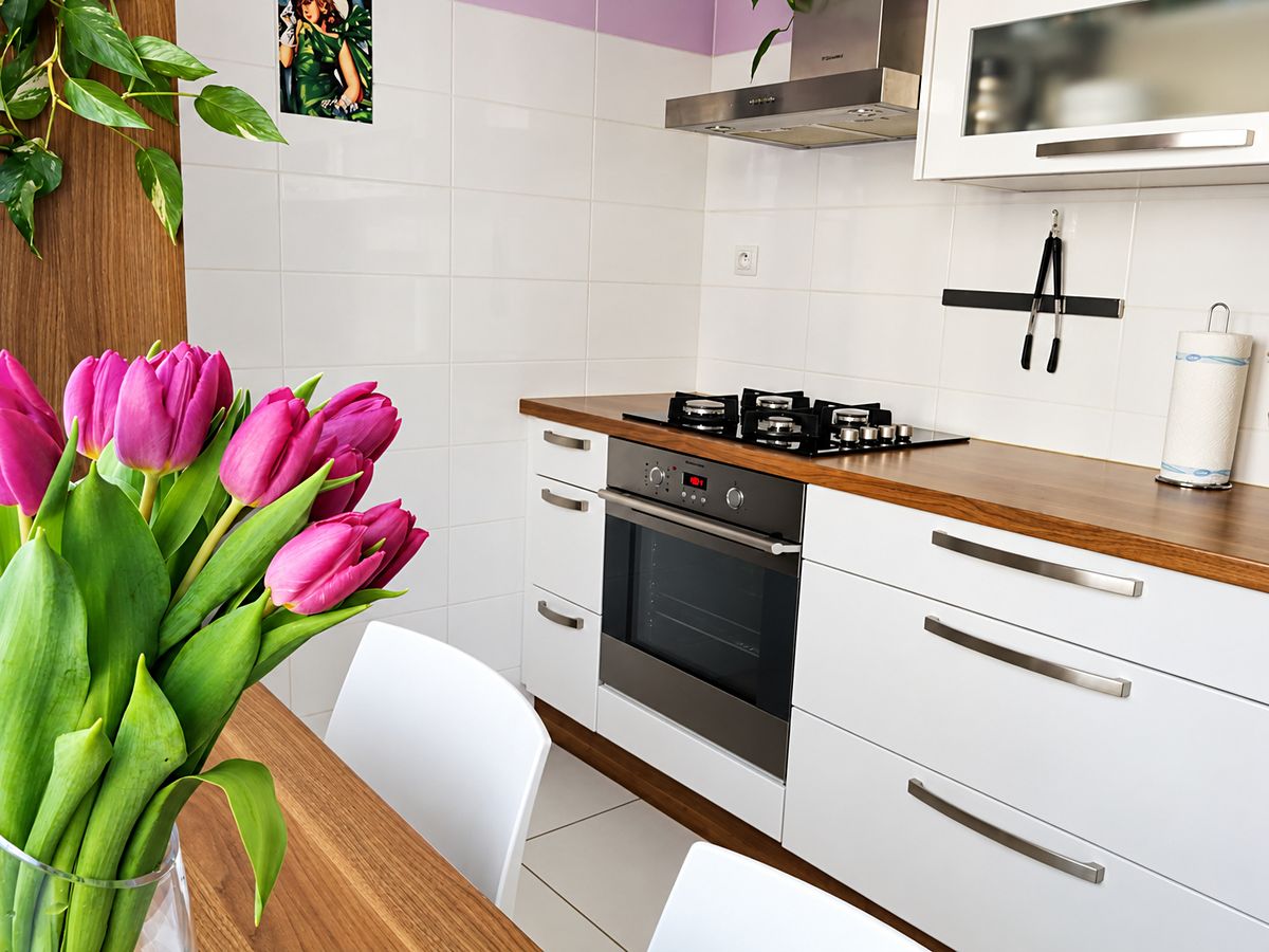 Pronájem bytu 2+1 53 m²