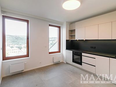 Pronájem bytu 1+1 45 m²