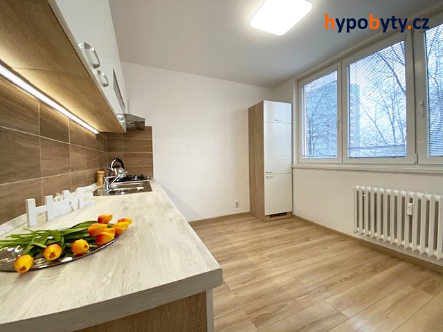 Pronájem bytu 1+1 37 m² – fotografie 3
