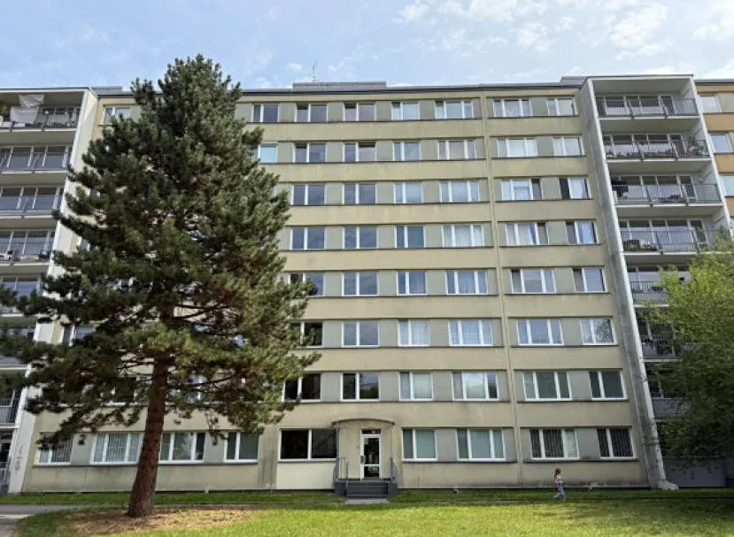 Dražba bytu 1+1 26 m²