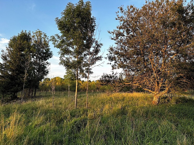 Ділянка на продаж, 1 713 м² (1 з 10)