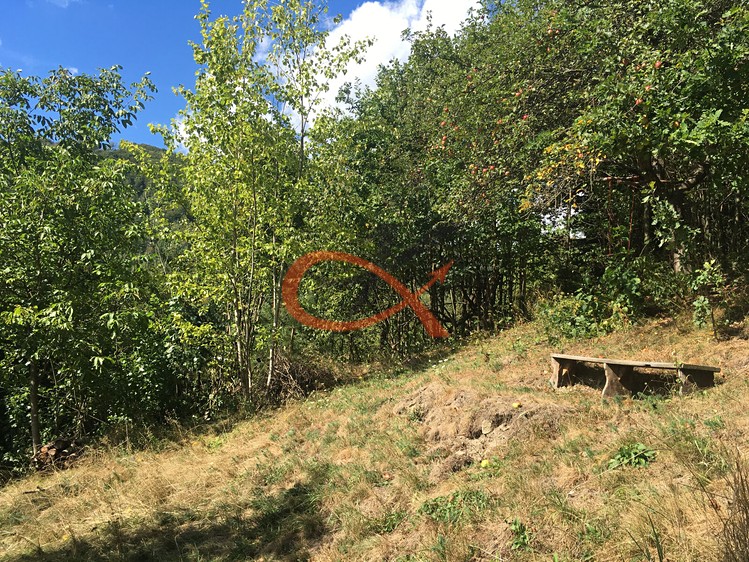 Prodej domu, 150 m² (5 z 12)
