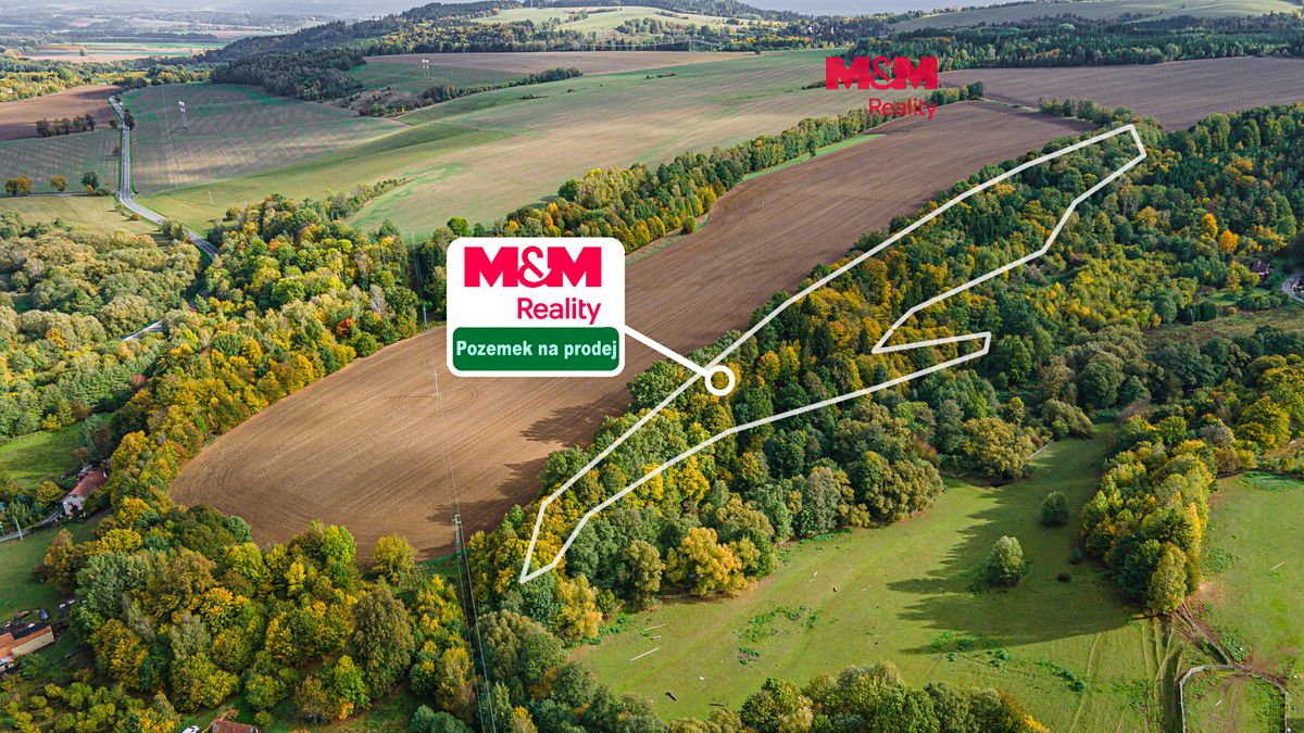 Prodej lesa 29949 m², Opatov – fotka 1 z 3