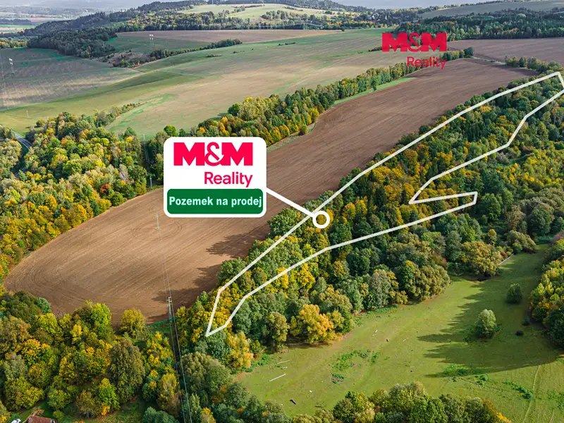 Prodej lesa 29949 m², Opatov – náhled fotky 1
