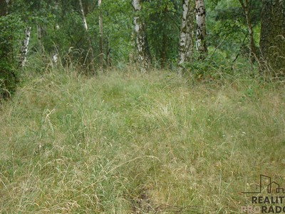Prodej pozemku, 2 700 m² (3 z 6)