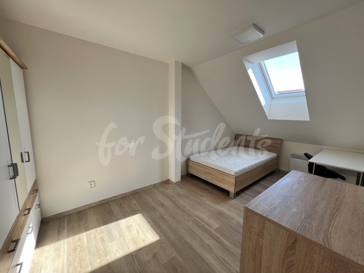 Wohnung 3+kk zur Miete, 58 m² (8 von 9)