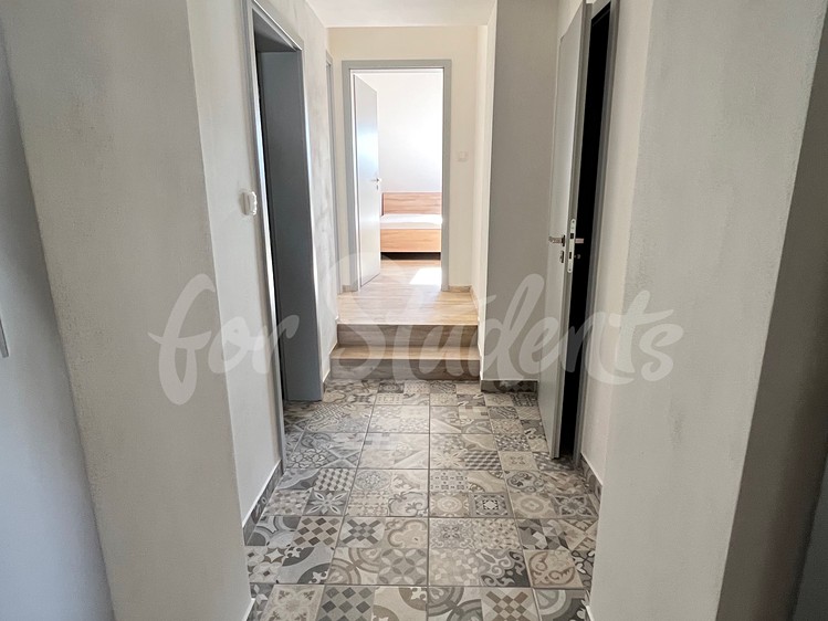 Wohnung 3+kk zur Miete, 58 m² (4 von 9)