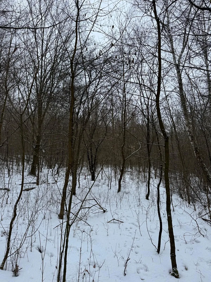 Fotka 5 z 9
