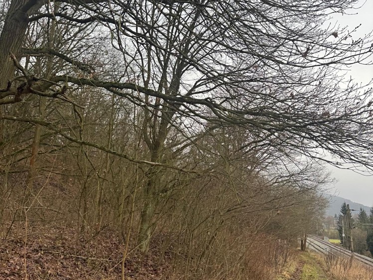 Ділянка на продаж, 9 837 м² (2 з 15)