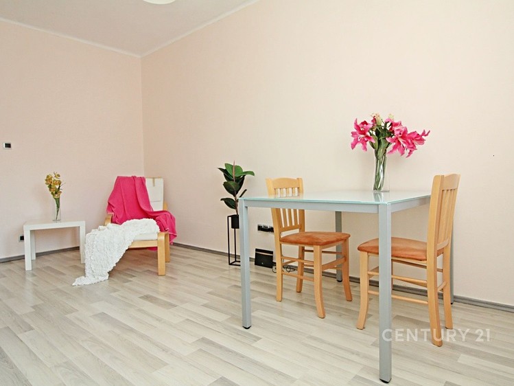 Pronájem bytu 2+1, 52 m² (17 z 29)