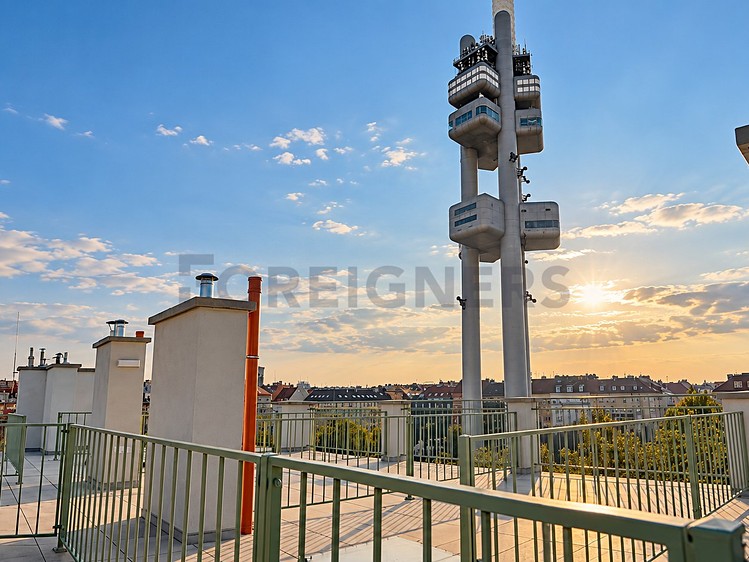 Квартира 1+kk в оренду, 31 м² (12 з 16)