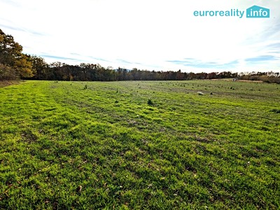 Prodej pozemku, 3 986 m² (3 z 8)