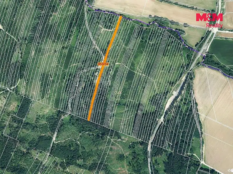Prodej lesa 5346 m², Nová Hradečná – náhled fotky 3