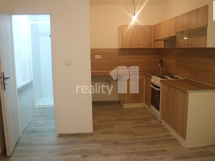 Квартира 1+1 в оренду, 55 м² (4 з 9)