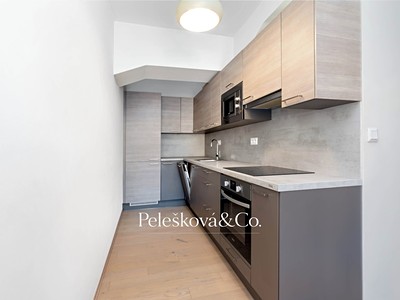 Wohnung 1+kk zur Miete, 38 m² (2 von 22)