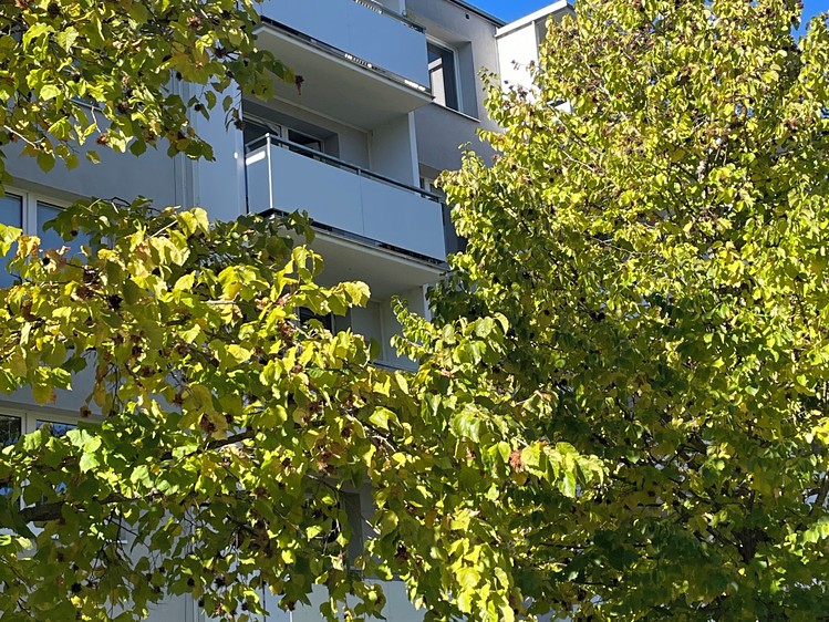 Wohnung 1+1 zum Kauf, 40 m² (16 von 16)